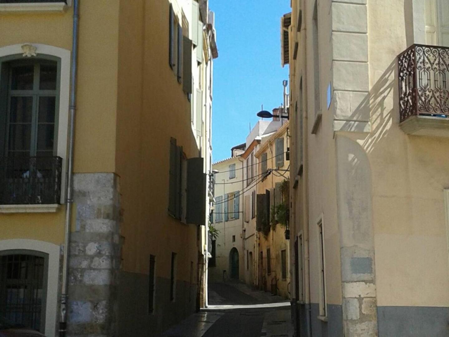 Appartement Saint-Sauveur Perpignan Exterior foto